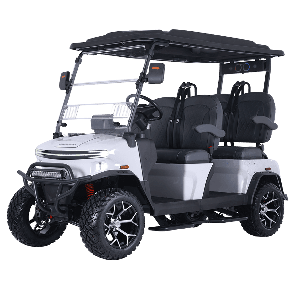 Denago Rover Lithium Battery